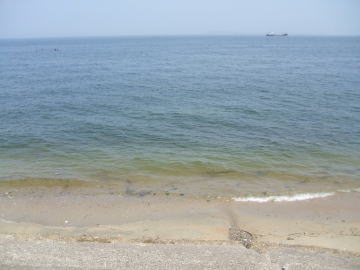 鳶ヶ崎海水浴場の写真1